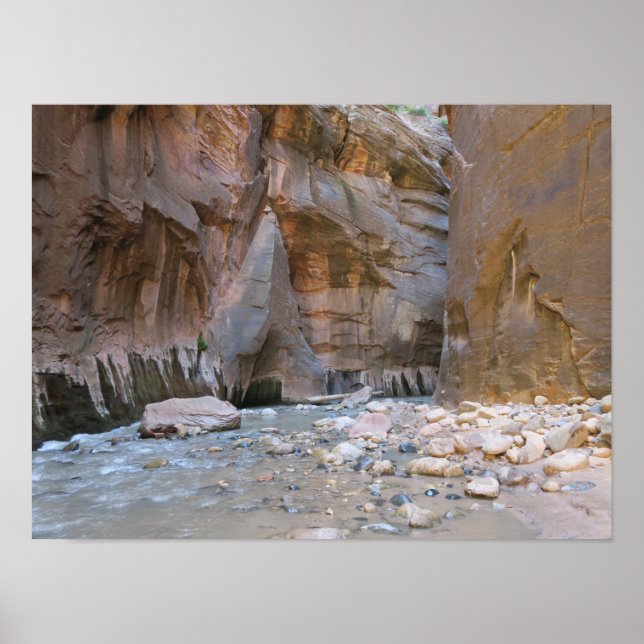 Narrows Zion nationalpark Poster (Framsidan)