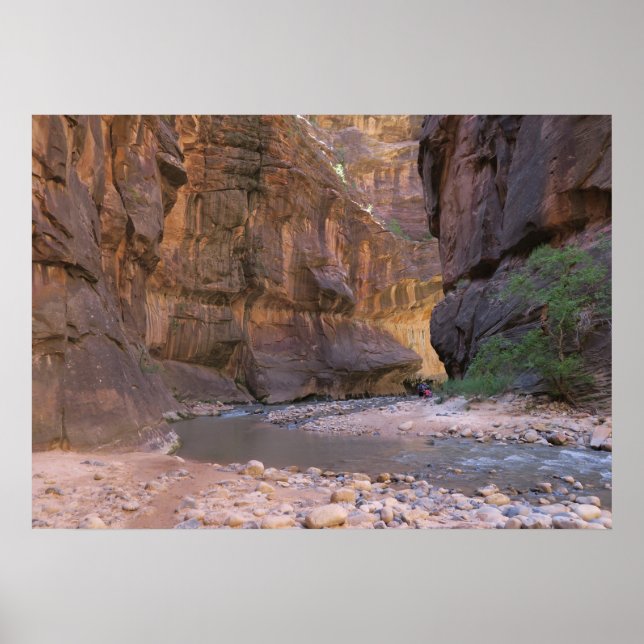 Narrows Zion nationalpark Poster (Framsidan)