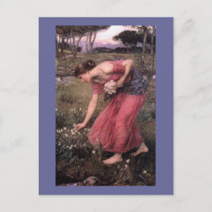 Narsissus Picking Flowers Vykort