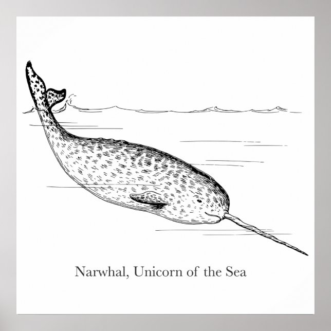 Narval Valhajval Unicorn i havet Poster (Framsidan)
