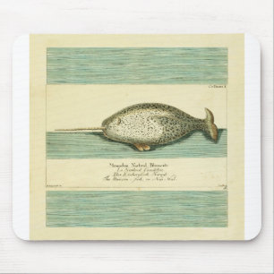Narwhal Antique Whale Watercolor Painting Musmatta