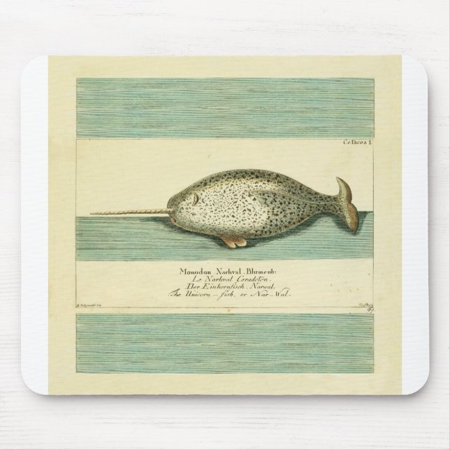 Narwhal Antique Whale Watercolor Painting Musmatta (Framsidan)