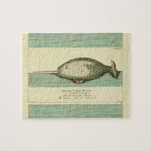 Narwhal Antique Whale Watercolor Painting Pussel