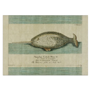 Narwhal Antique Whale Watercolor Scientific Art