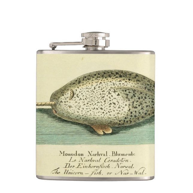 Narwhal Antique Whale Watercolor Scientific Art Fickplunta (Framsidan)