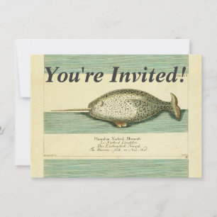 Narwhal Antique Whale Watercolor Scientific Art Inbjudningar