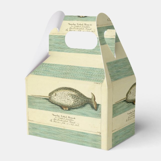 Narwhal Antique Whale Watercolor Scientific Art Presentaskar (Framsidan Sidan)