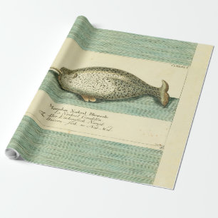 Narwhal Antique Whale Watercolor Scientific Art Presentpapper