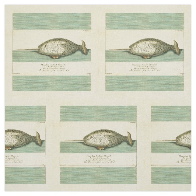 Narwhal Antique Whale Watercolor Scientific Art Tyg (Provkarta)