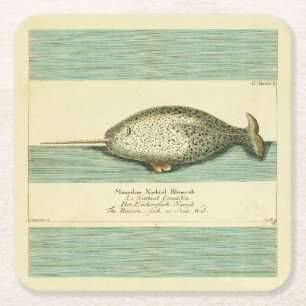 Narwhal Antique Whale Watercolor Scientific Art Underlägg Papper Kvadrat