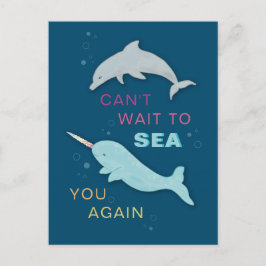 Narwhal Dolphin Friends Vykort