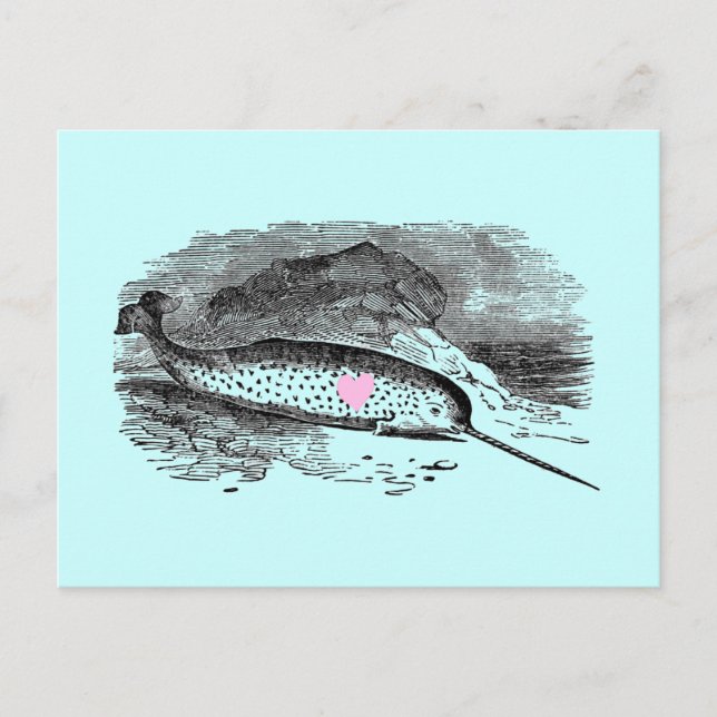 Narwhal Heart Vykort (Framsida)