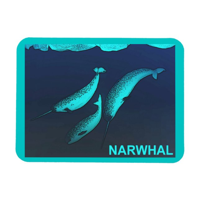 Narwhal Magnet (Horisontell)