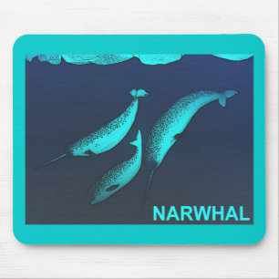 Narwhal Musmatta