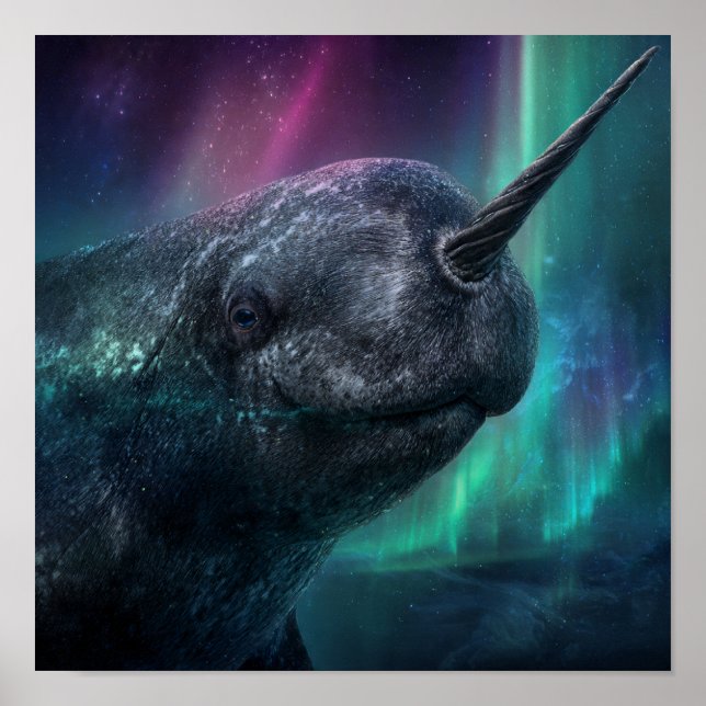 Narwhal Mystical Guardian - Aurora Arktiska natten Poster (Framsidan)