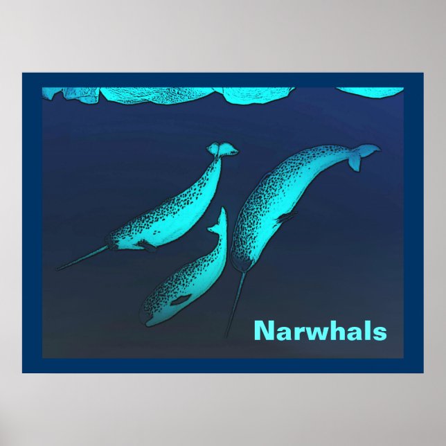 Narwhal Poster (Framsidan)