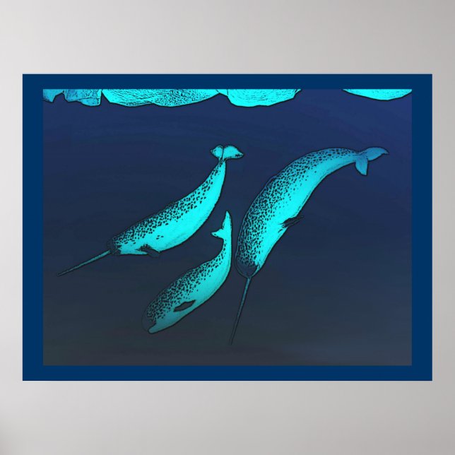 Narwhal Poster (Framsidan)