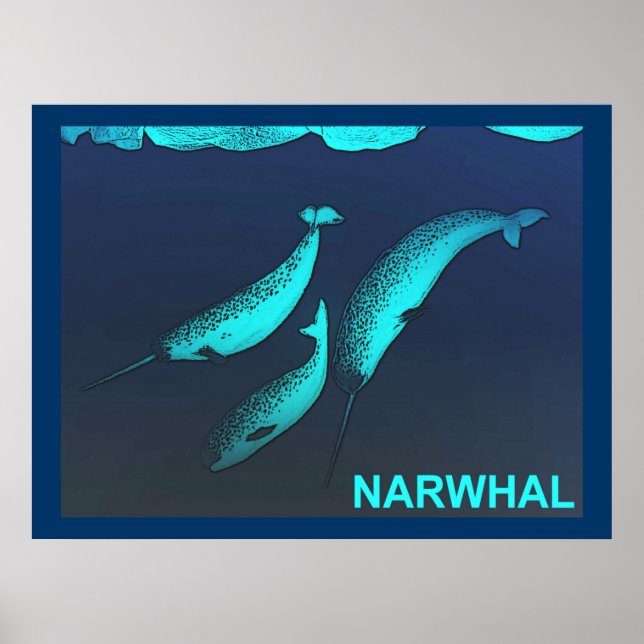 Narwhal Poster (Framsidan)