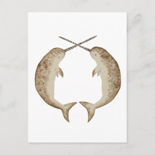 Narwhal Vykort