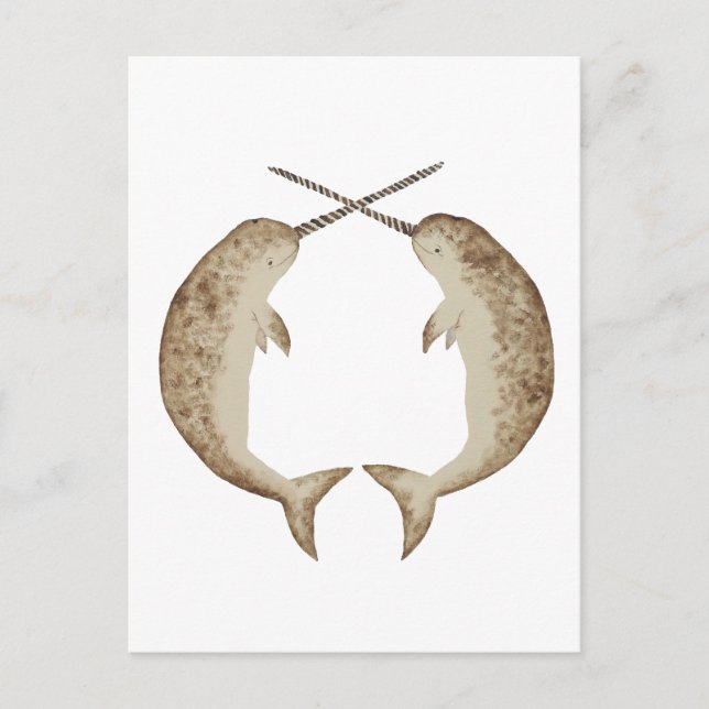Narwhal Vykort (Framsida)