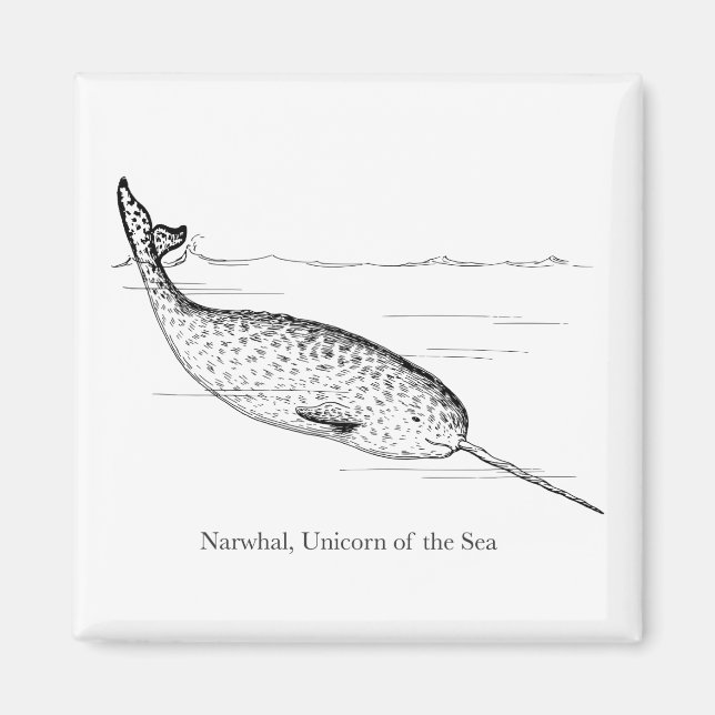 Narwhal Whale Unicorn of the Sea Magnet (Framsidan)