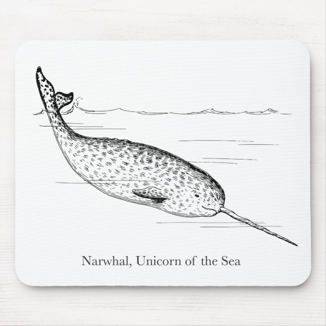 Narwhal Whale Unicorn of the Sea Musmatta (Framsidan)