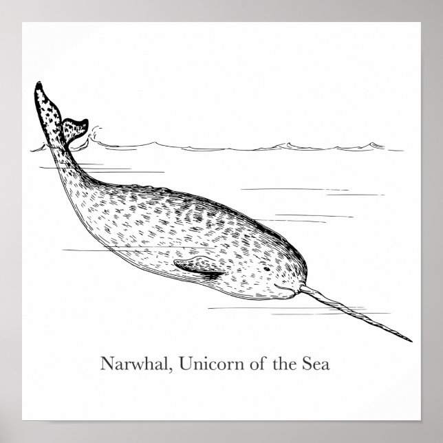 Narwhal Whale Unicorn of the Sea Poster (Framsidan)