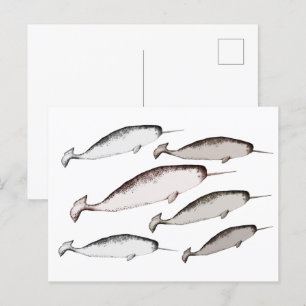 Narwhals Simma - Narwhal Whale Illustration Gift Vykort