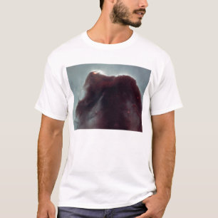 NASA - Den Horsehead nebulaen T-shirt