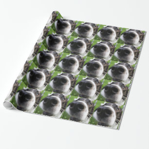 Näsa för gränsColliehund Presentpapper