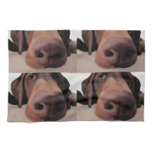 Näsa för köktrasahund