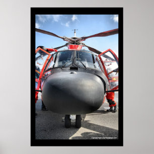 Näsa HH-65 Poster