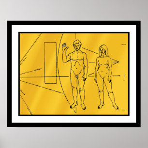 NASA Pioneer 10 rymdsond Guldplakett Poster