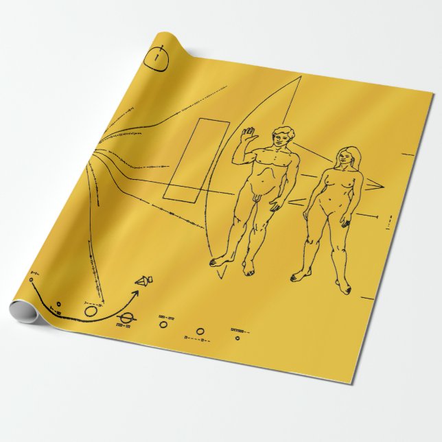 NASA Pioneer 10 Space Probe Guld Plaque Presentpapper (Utrullad)