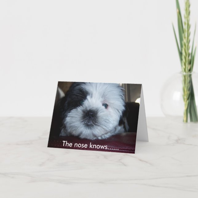 Näsan vet... kort (Framsida)