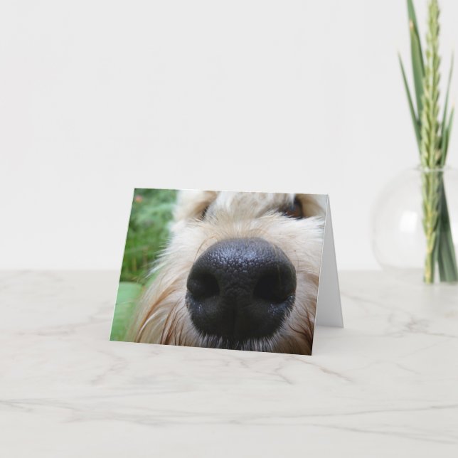 Näsan vet! kort (Framsida)