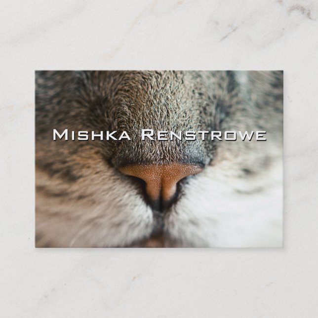 Näsan vet visitkort (Framsida)