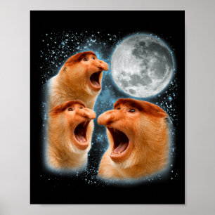 Näsapa älskare galax måne vilda djur djur poster