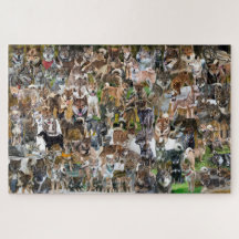 NASC 2022 Jigszawa Puzzle