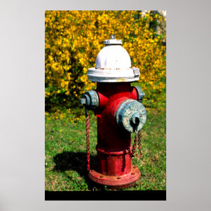 Nashville brandpost poster