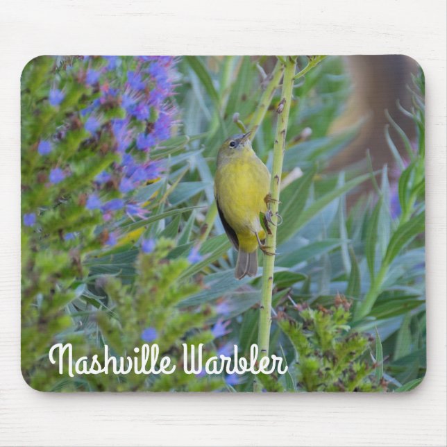 Nashville Warbler Musmatta (Framsidan)