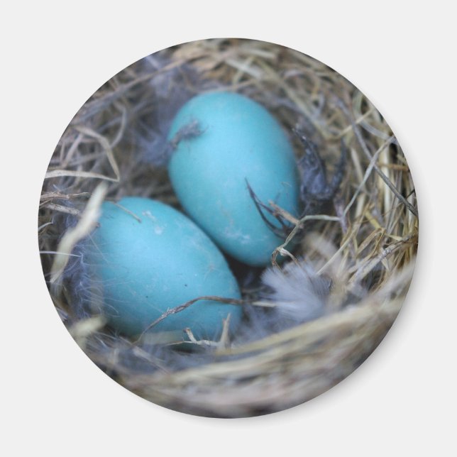 Näst magnet (Framsidan)