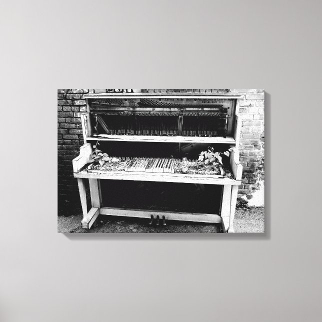 Nästa år Skörd av musiker Canvastryck (Framsida)