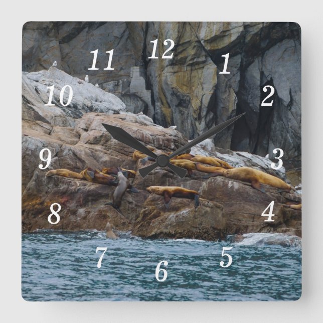 Nästa i radväggsklockan fyrkantig klocka (Framsida)