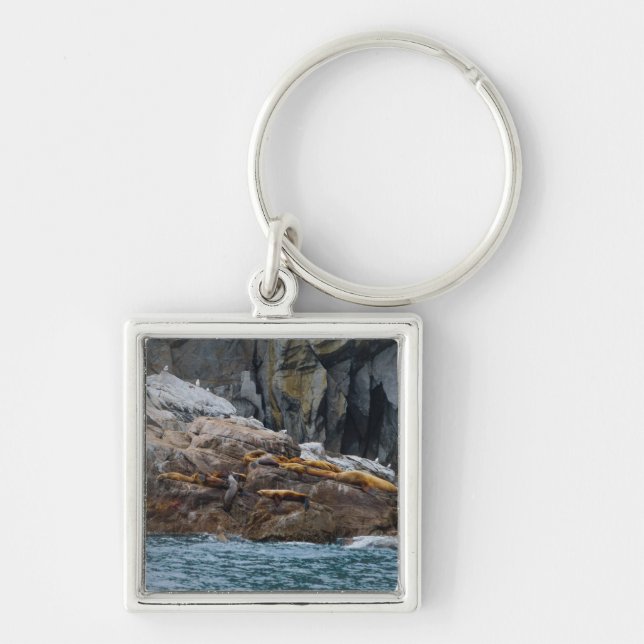 Nästa på rad fyrkantig silverfärgad nyckelring (Framsidan)