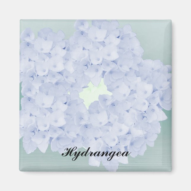 Nästan Blå Hydrangea Magnet (Framsidan)