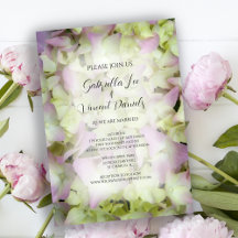 Nästan Rosa Hydrangea Bröllop