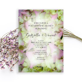 Nästan Rosa Hydrangea Efter Bröllopsbrunch Inbjudningar