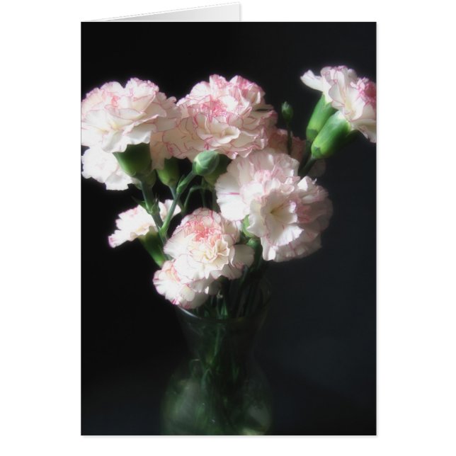 Nästan vita nejlikor 2 hälsningskort (Framsidan)