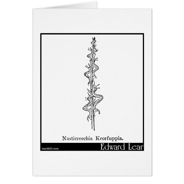 Nasticreechia Krorluppia. Hälsningskort (Framsidan)
